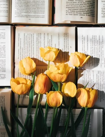 Tulips Flowers Books Read Page  - NastasyaDay / Pixabay